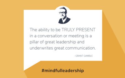 The Next Steps to Mindful Leadership: 3. The Heart & Soul of Communication: Visual & Auditory Connection
