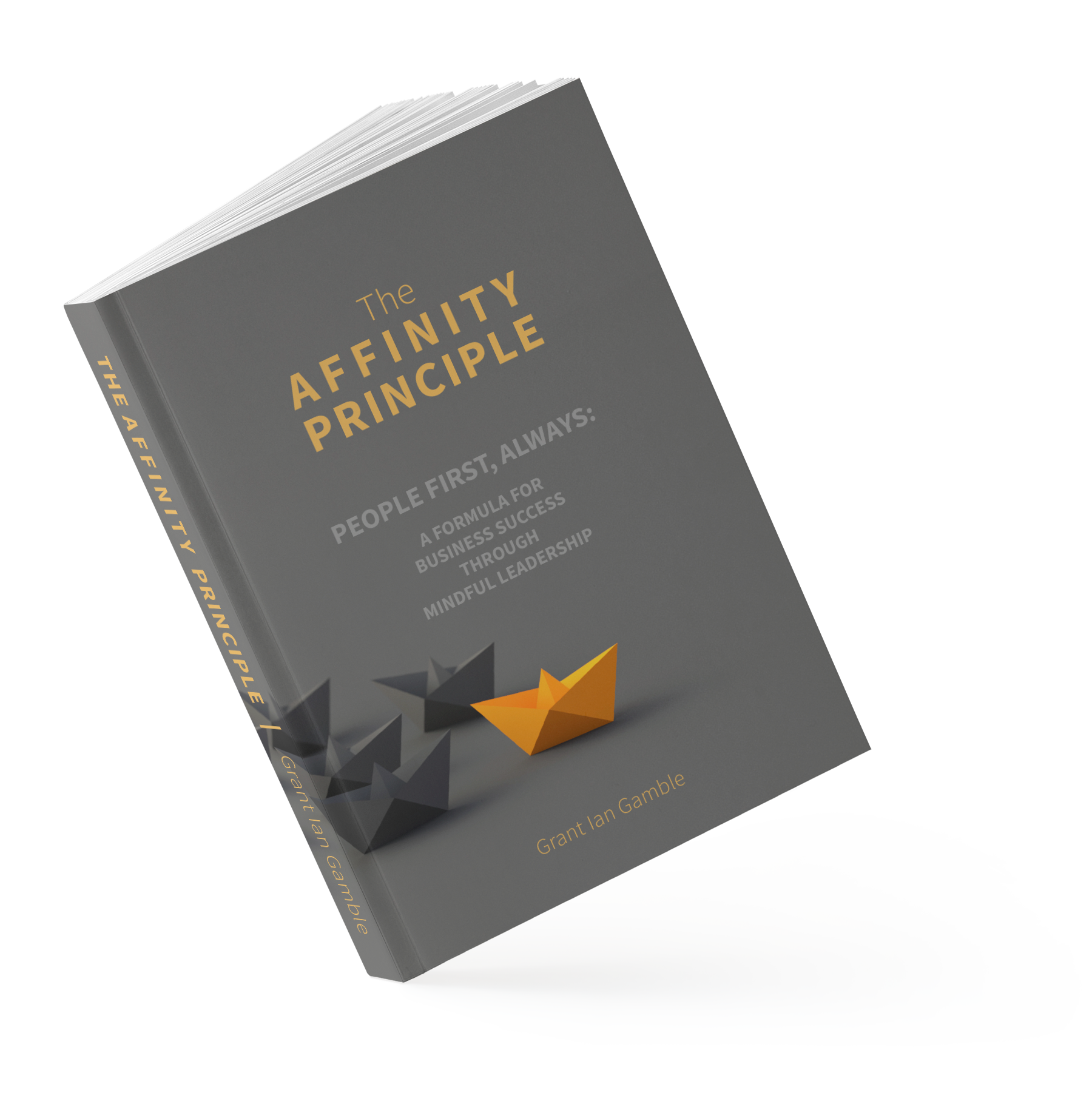 The Affinity Principle | Business Mindful Leadership | Grant Ian Gamble