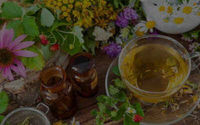 Embracing the Healing Power of Naturopathy: A Natural Path to Optimal Health