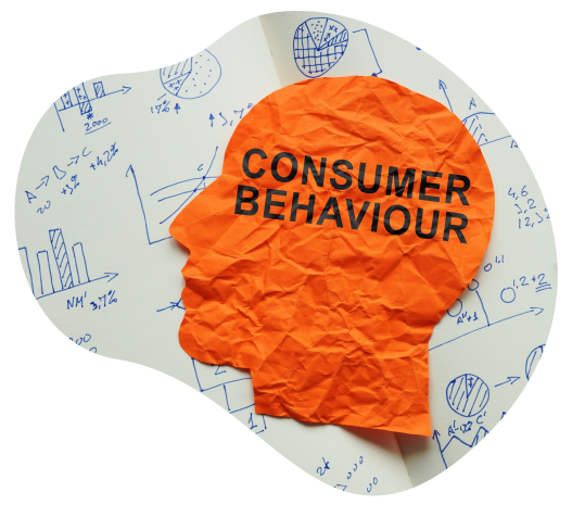 consumer behavior feature image
