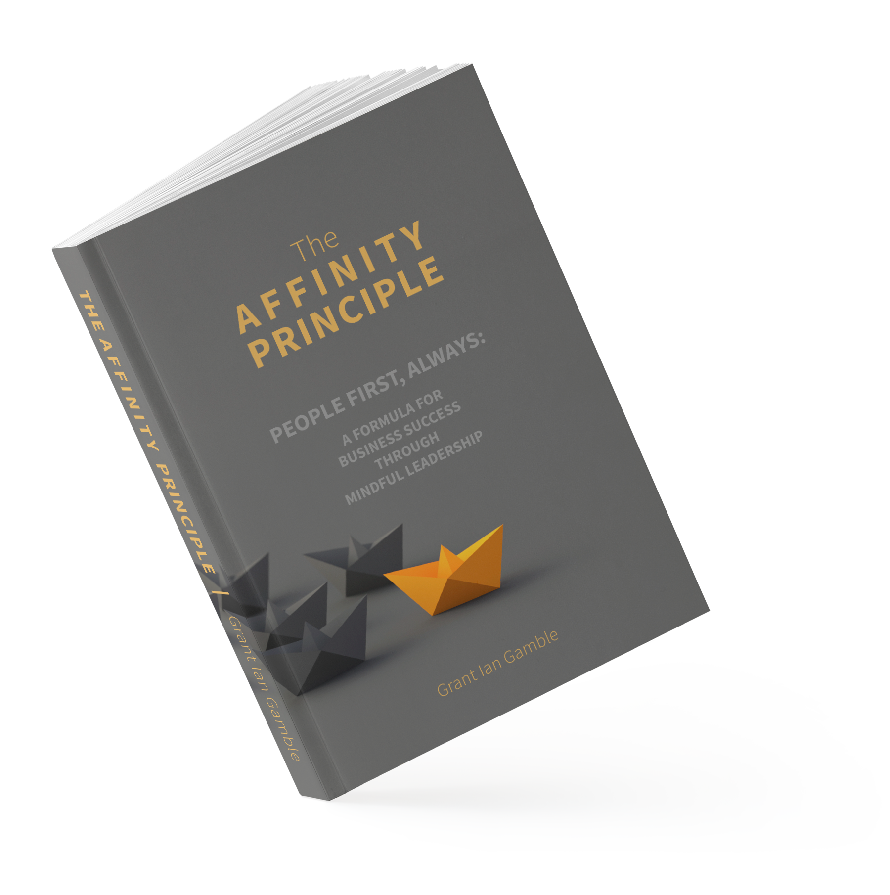 grant-ian-gamble-business-consulting-the-affinity-principle-business-mindful-leadership-book-3 The Affinity Principle | Business Mindful Leadership | Grant Ian Gamble