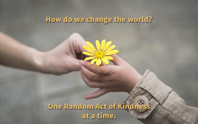 A World Apart, A Path Forward: The Power of Kindness in a Divided Era